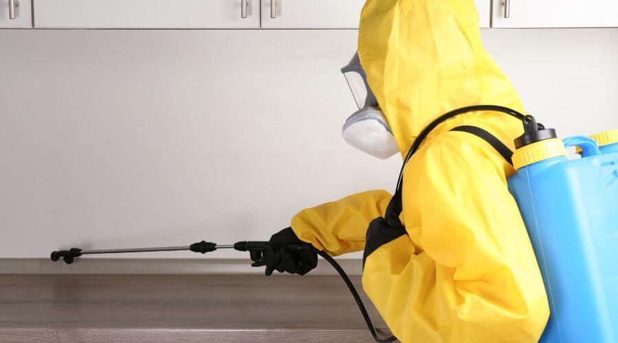 Professional termite treatment Miami services in Miami
